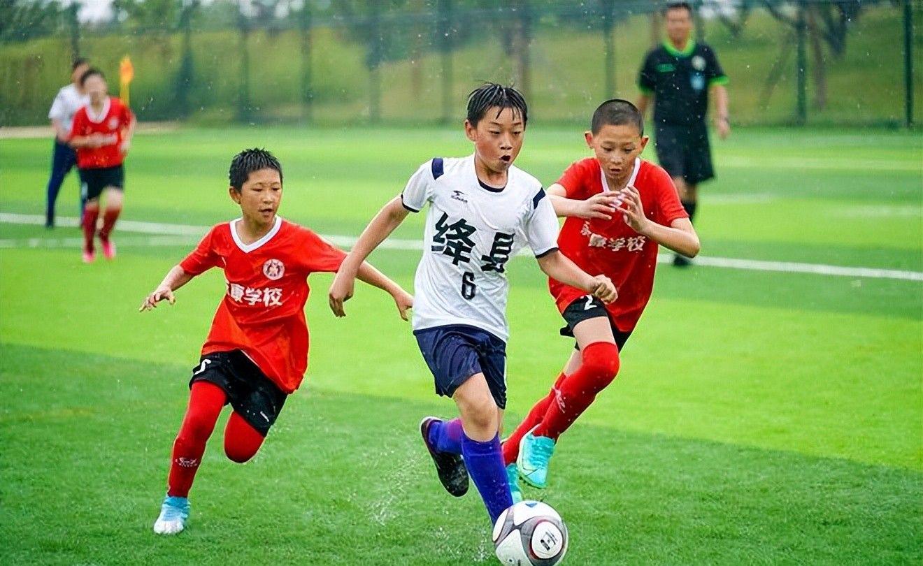 巴西球迷：就算国家有再多问题，当巴西队比赛时人们就会忘记一切